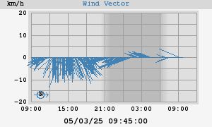 Wind Vector