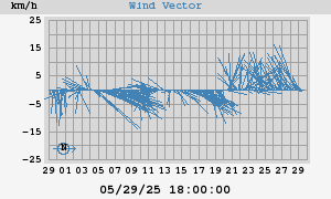 Wind Vector