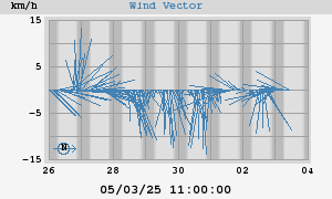 Wind Vector