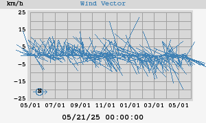 Wind Vector